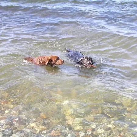 With 3 Bedrooms * Gammendorf