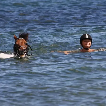 With 3 Bedrooms * Gammendorf